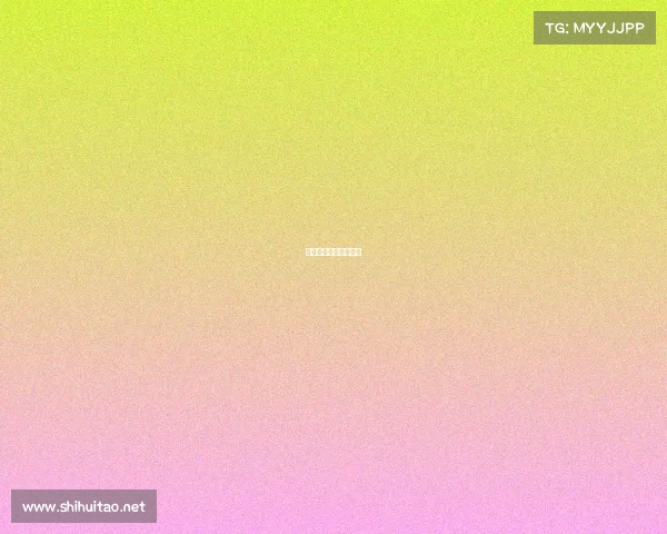 南美赛事都有什么比赛